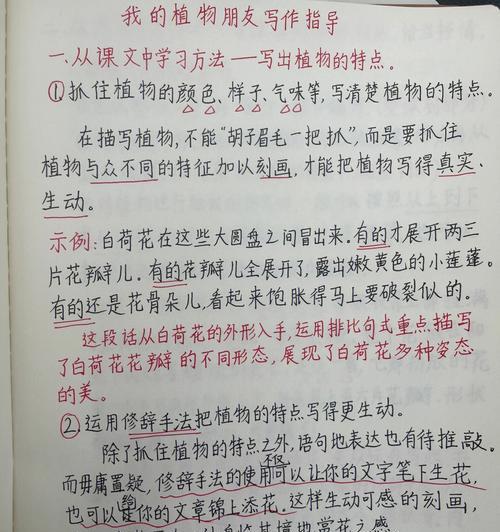 探究游戏中的起源不妨游衍莫忘归称号（如何获得这一称号，以及背后的历史渊源）