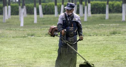 《地下城割草圣魔杖合成攻略》（游戏玩家必备，轻松合成最强神器！）