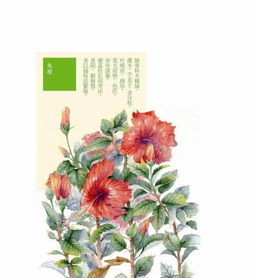 山海镜花朱槿——魔幻之花（探秘山海镜花朱槿的神秘技能与战斗魔力）