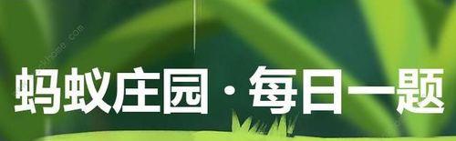 《未定事件簿淌梦解思答案是什么》（揭秘神秘解谜游戏的奥秘）