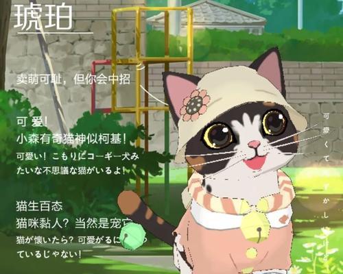 小森生活猫咪选美大赛，玩转猫咪世界（如何参与猫咪选美大赛）