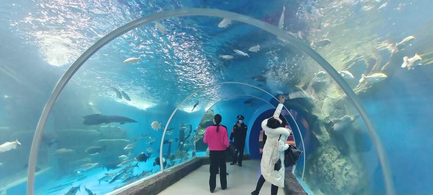 文明大爆炸水族馆和剧场（探索两个文明世界）