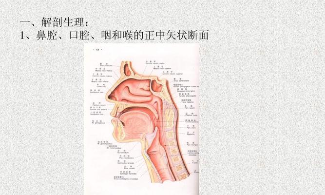 以人体工厂鼻腔清理怎么过-鼻腔通畅的秘诀（以游戏为主）