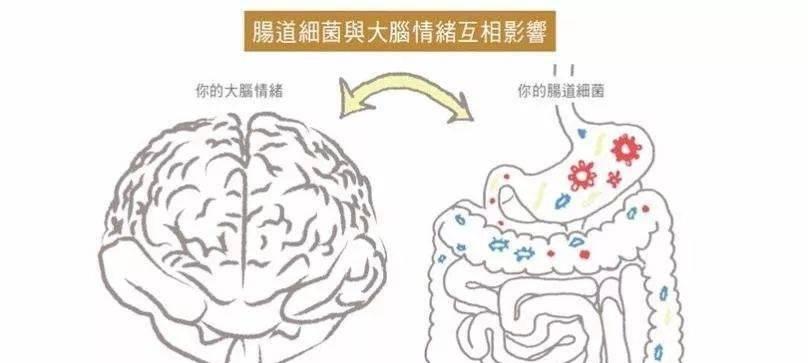 《人体工厂》咀嚼车间通关技巧大揭秘（游戏攻略带你玩转咀嚼车间）