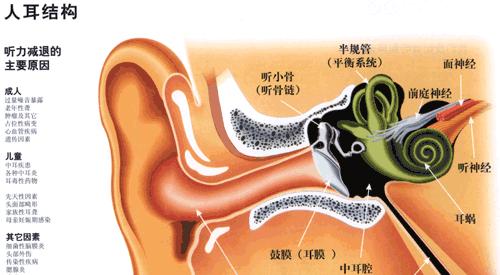 听觉通关游戏（打造听力）