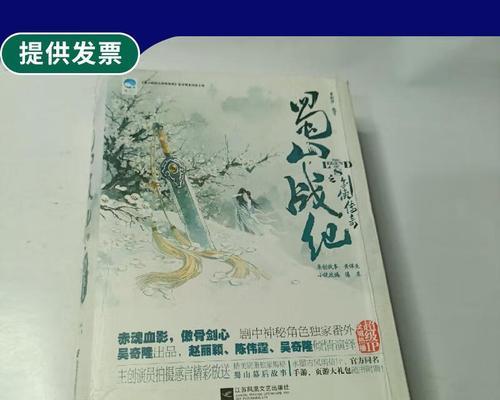 《蜀山战纪之剑侠传奇》游戏伙伴装备攻略（掌握伙伴装备的关键）