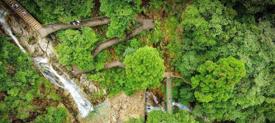 妄想山海滕雀（深入解析妄想山海滕雀的特色玩法与策略）