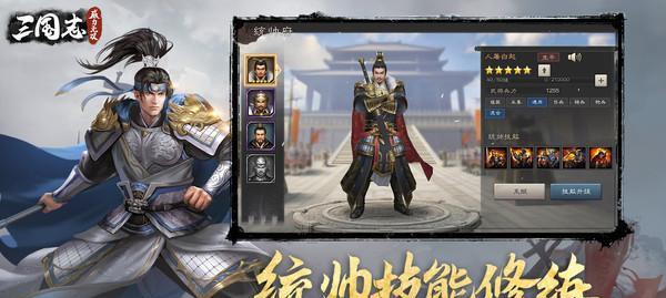 三国志威力无双武将搭配攻略（打造最强阵容）