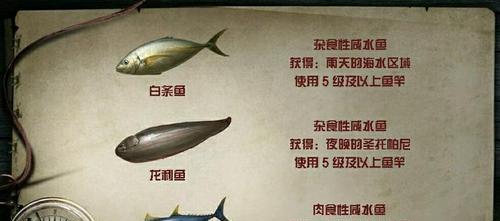 明日之后15种鱼的钓点分布在哪里？如何高效钓到每一种鱼？