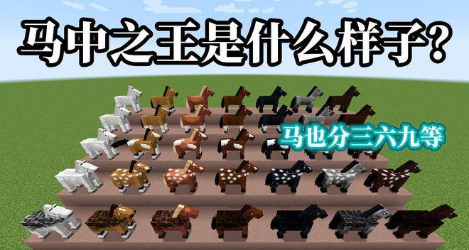 我的世界中马变色的方法是什么？