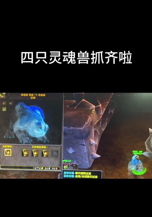 魔兽稀有精英豹子战斗策略是什么？